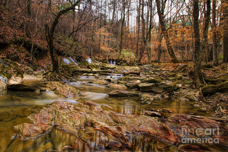 Creek at Leflers Mill Photograph by Barbara Bowen