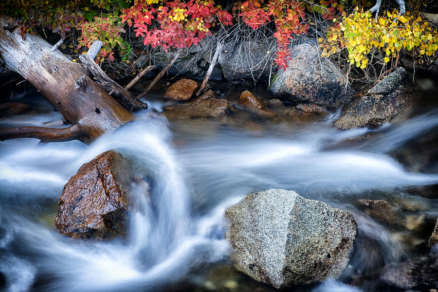 Mountain Photograph - Creek at North Lake CA_1 by Greg Kluempers
