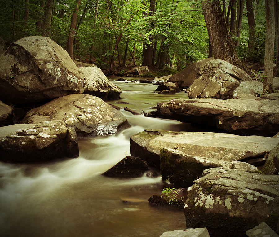 Creek at St. Peters Photograph by Michael Porchik