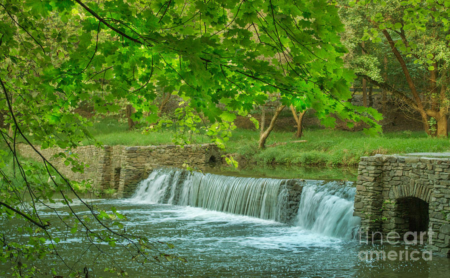 Summer Photograph - creek at Valley Forge by Rima Biswas