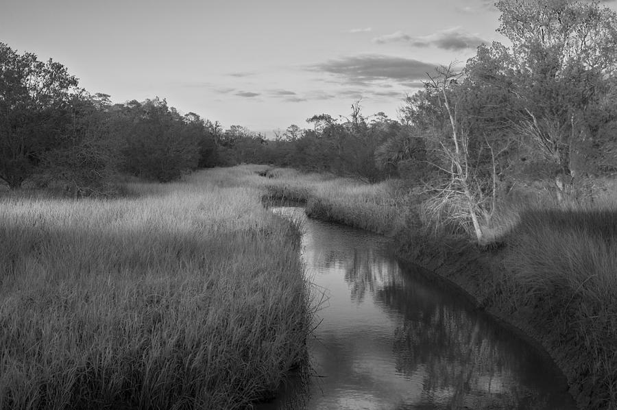 Creek at Wilmington Island Photograph by Frank Bright