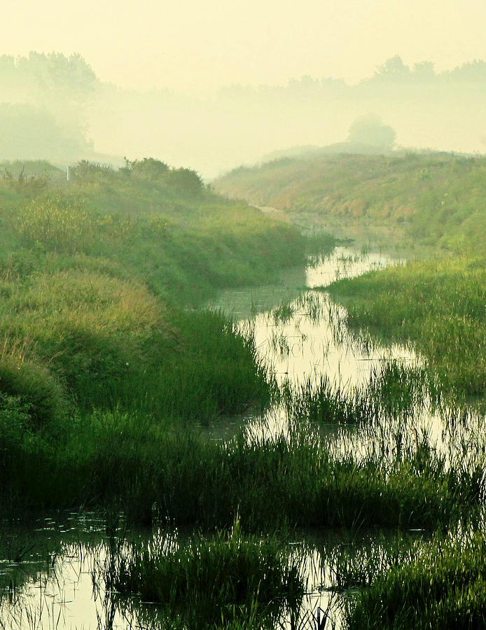 Nature Photograph - Creek I by Sarah Boyd