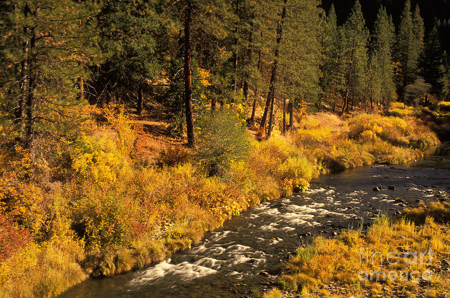 Creek In Autumn Photograph by Ron Sanford