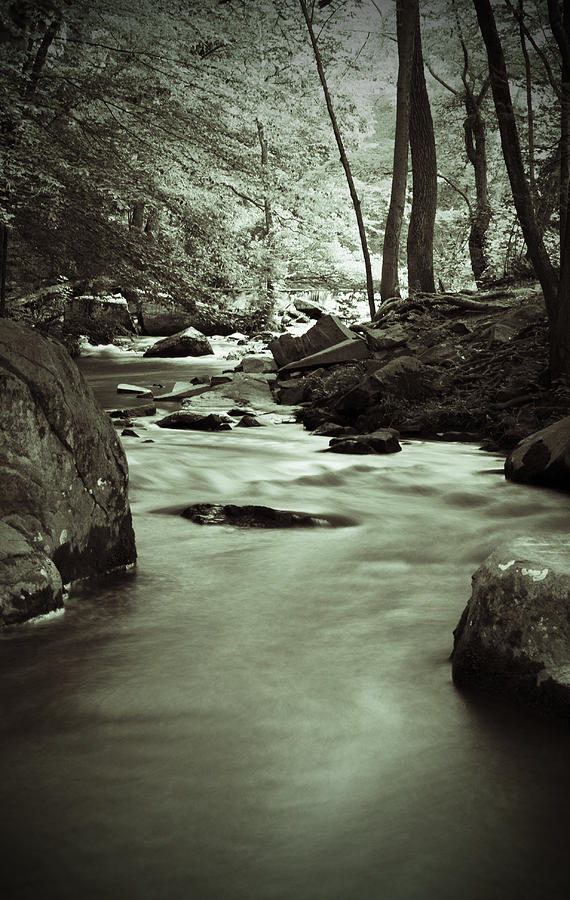 Creek in Black and White Photograph by Michael Porchik