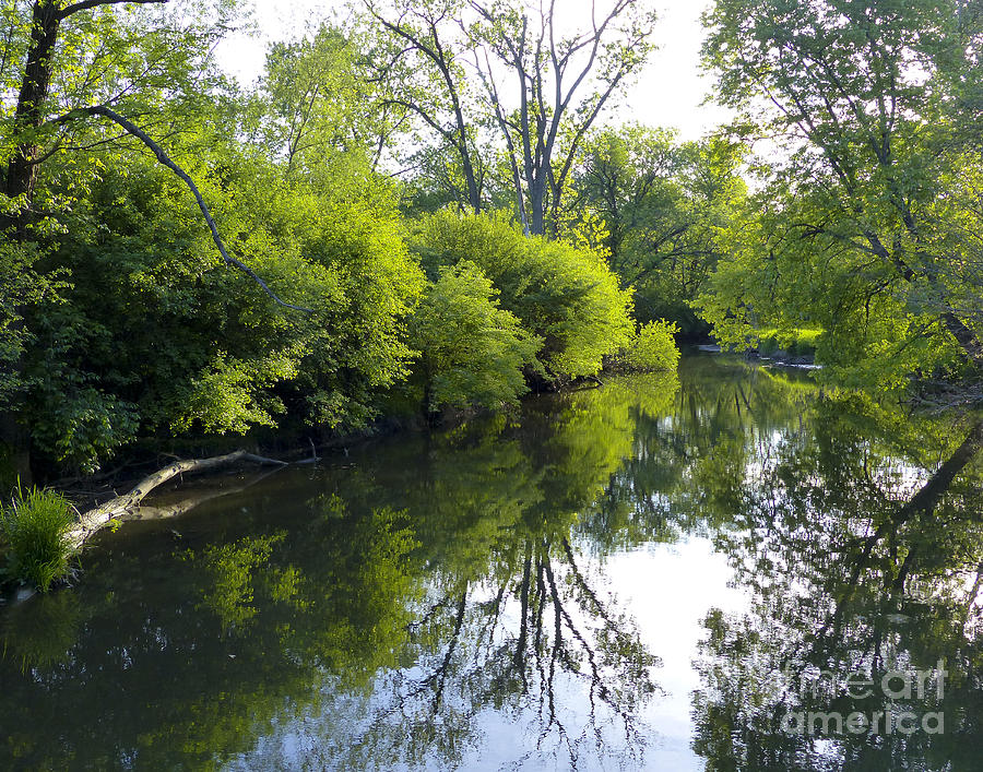 Creek in reflection Photograph by Paula Joy Welter
