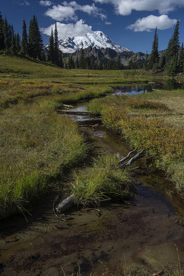 Mount Rainier National Park Photograph - Creek in Tipsoo Lake by Mike Sedam