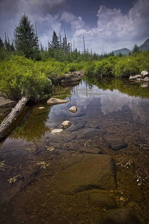 Creek In Vermont Photograph
