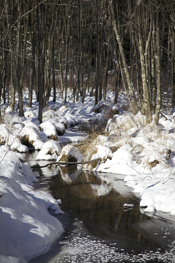 Winter Photograph - Creek in Winter by Cheryl Gayser