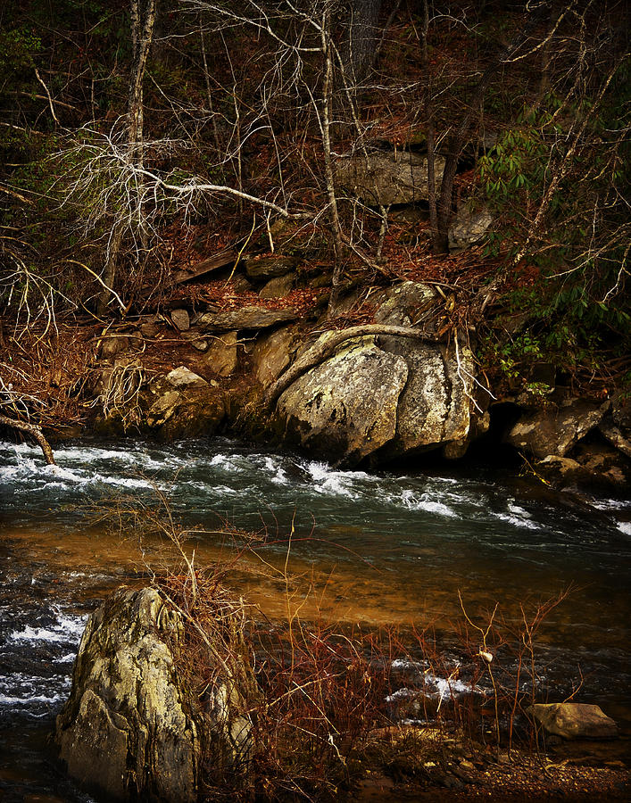Creek Photograph by Mario Celzner