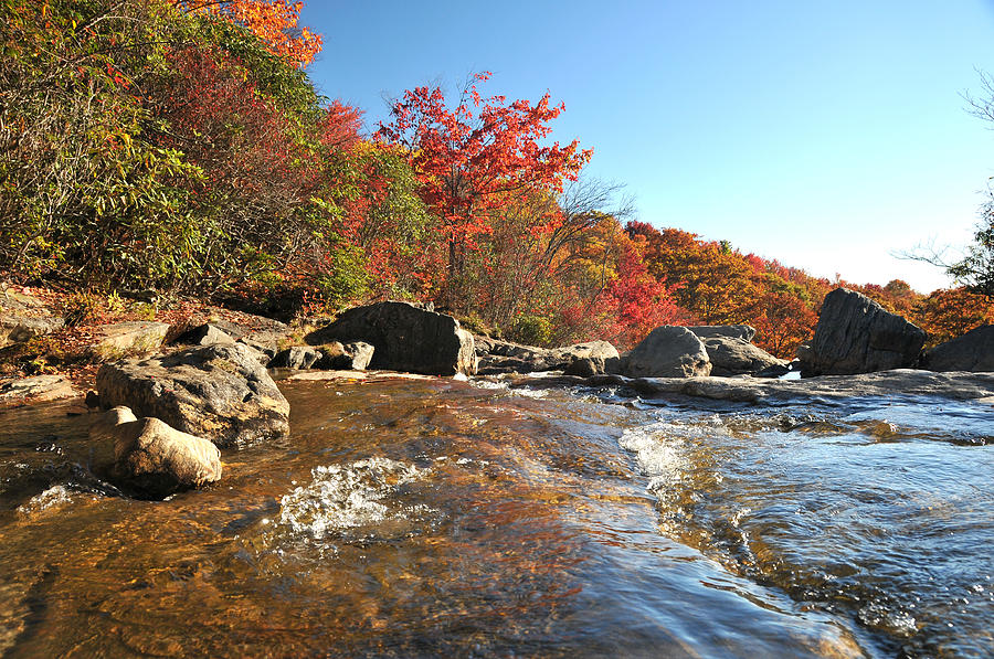 Fall Photograph - Creek by Paul Van Baardwijk