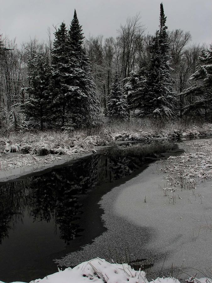 Creek Reflections Photograph by Dale Kauzlaric