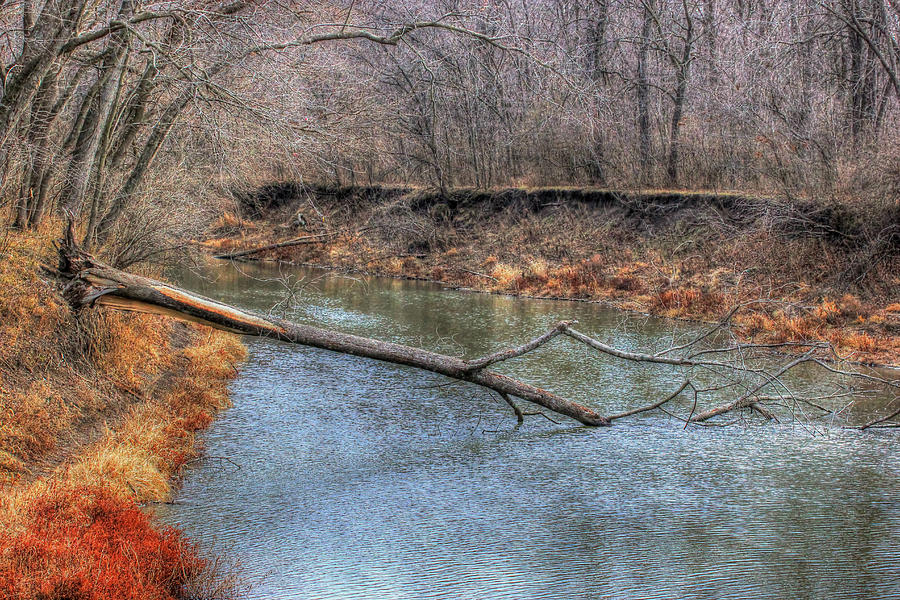 Creek Photograph by Thomas Danilovich