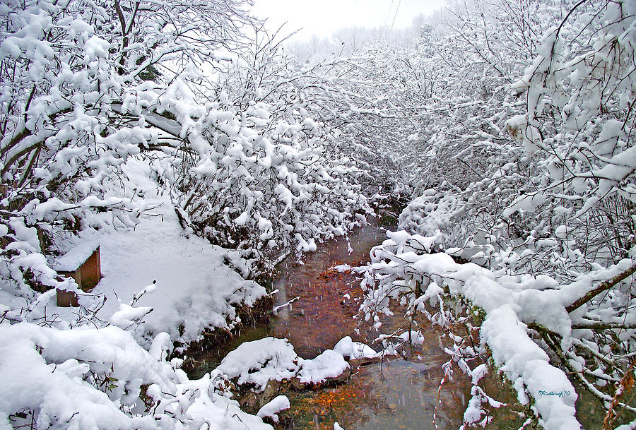 Creekside in the Snow 3 Photograph by Duane McCullough