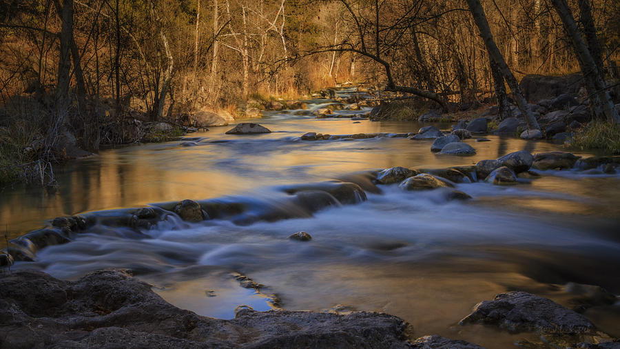 Creekside Serenade Photograph by Medicine Tree Studios