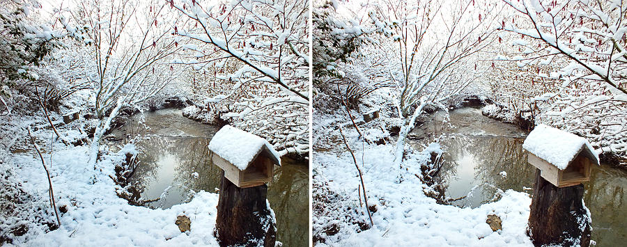 Creekside Snow in Stereo Photograph by Duane McCullough