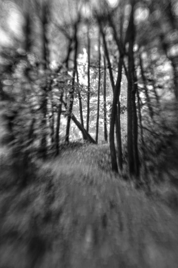 Creepy Path Photograph