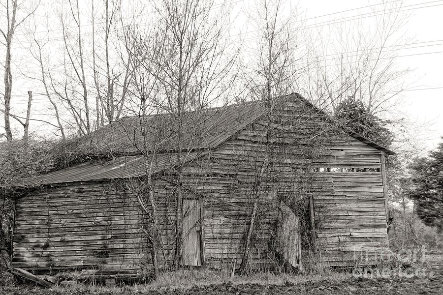 Creepy Rustic Barn Photograph by Scott Cameron