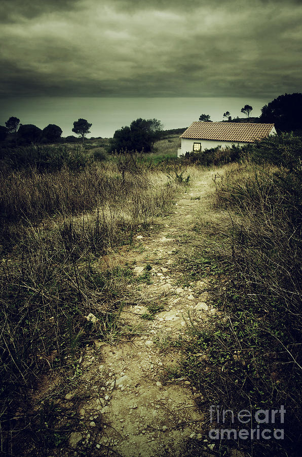 Fantasy Photograph - Creepy Trail by Carlos Caetano