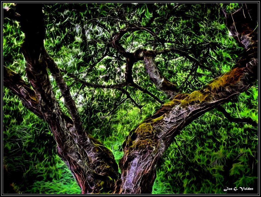 Creepy Tree Painting by Jon Volden