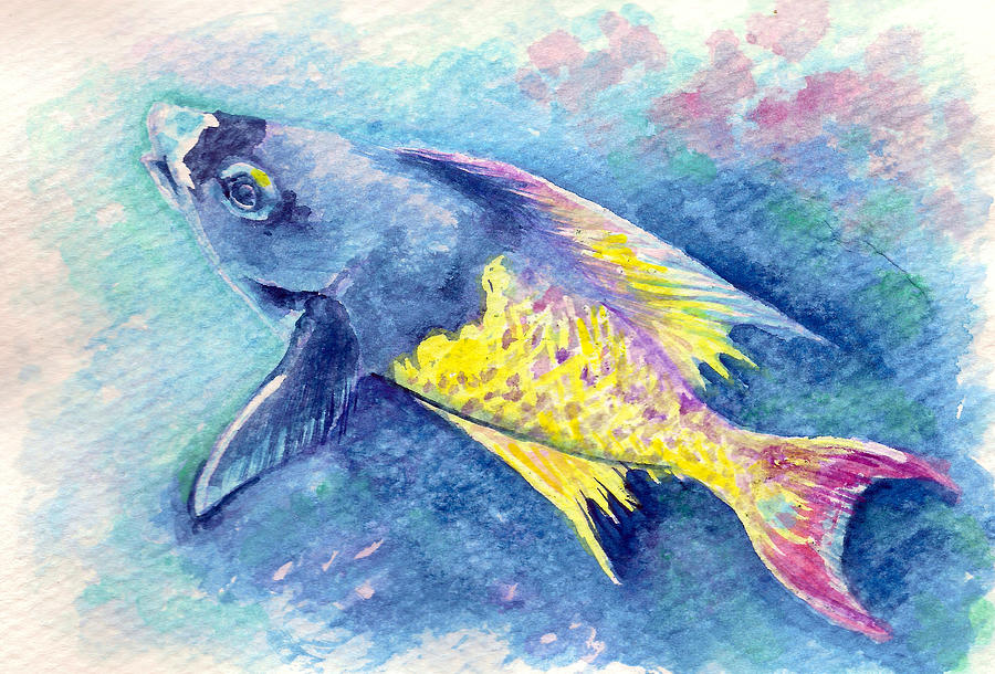 Creole Wrasse Painting by Ashley Kujan
