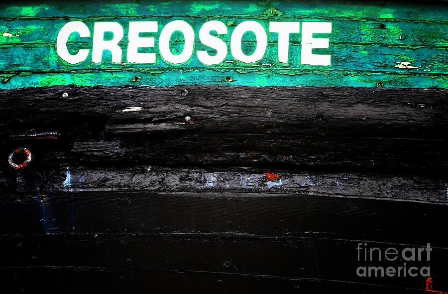 Creosote Photograph by Newel Hunter