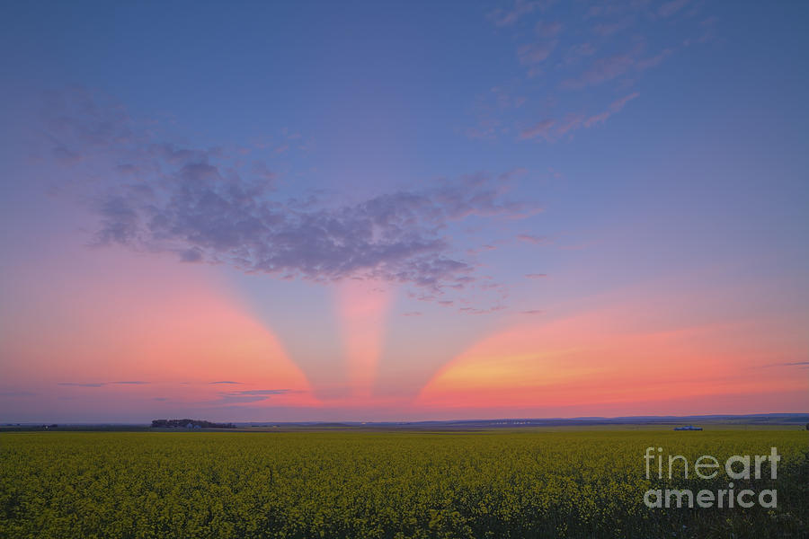 Space Photograph - Crepuscular Rays At Sunset, Alberta by Alan Dyer