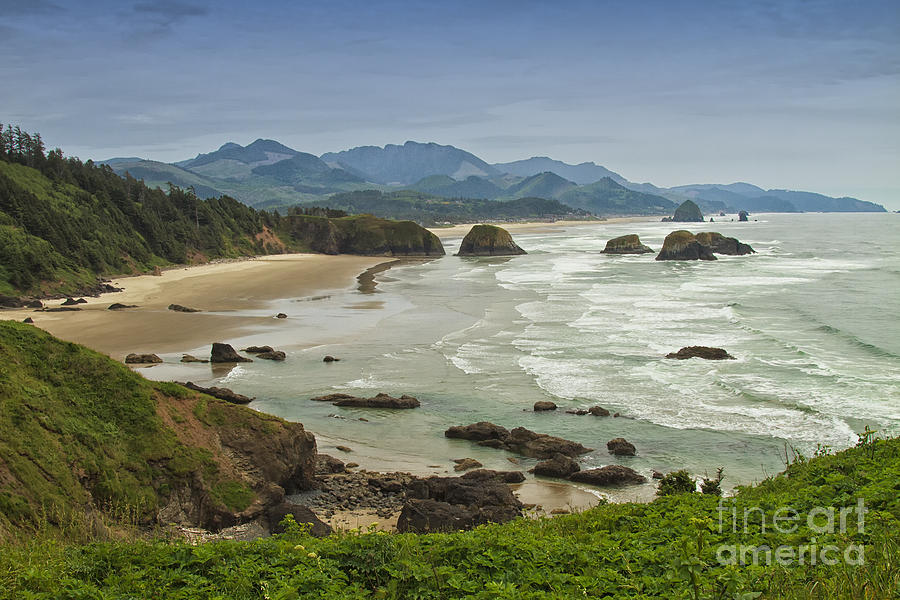 Nature Photograph - Crescent Beach Oregon by Carrie Cranwill