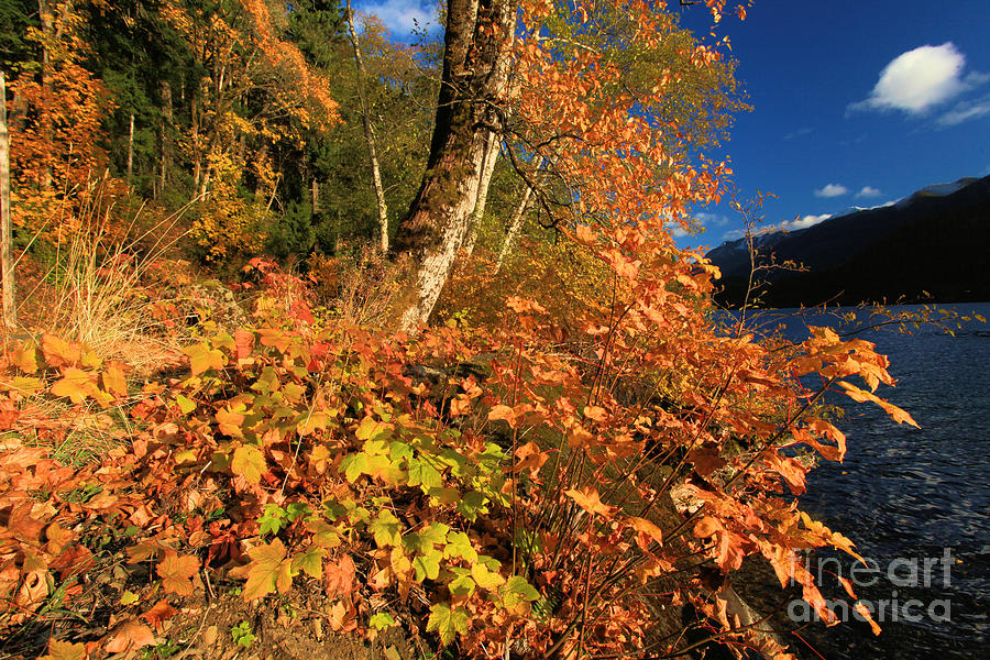 Crescent Fall Colors Photograph by Adam Jewell