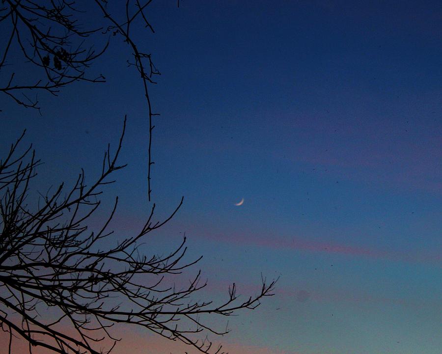 Sunset Photograph - Crescent Moon by Alina Skye
