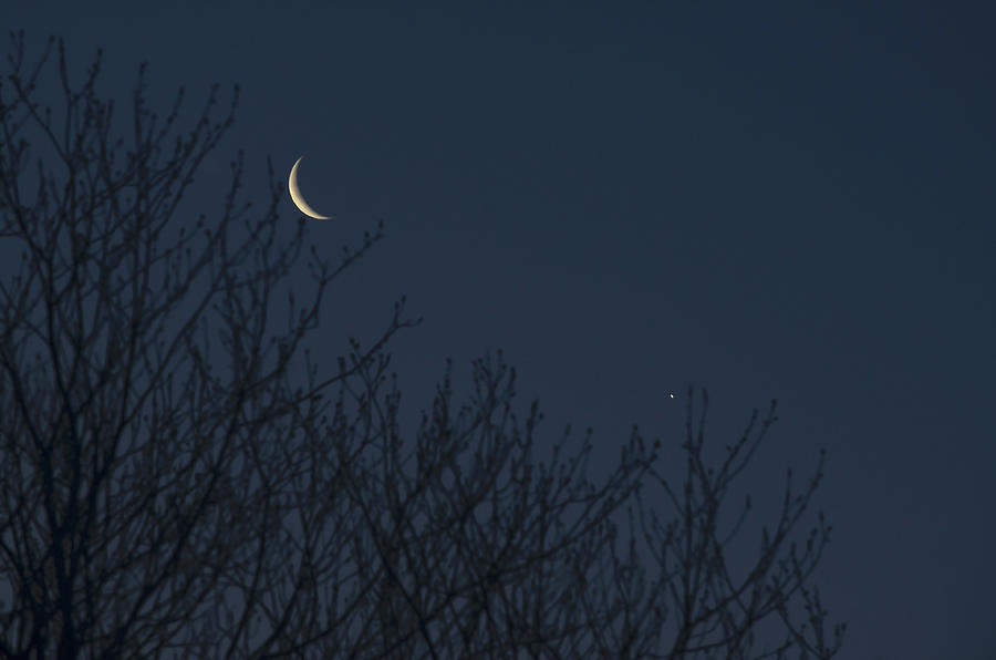 Crescent Moon and Venus Photograph by Terry DeLuco