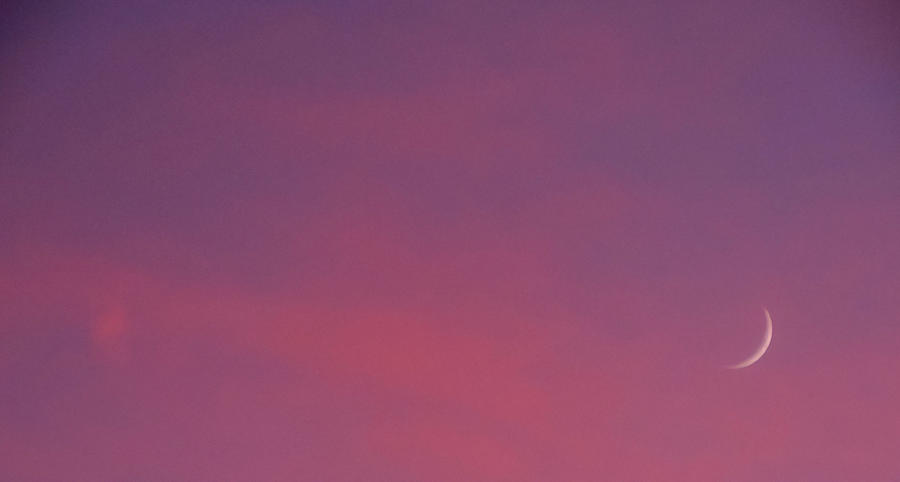 Crescent Moon in Pink Sunset Photograph by Jodie Marie Anne Richardson Traugott          aka jm-ART