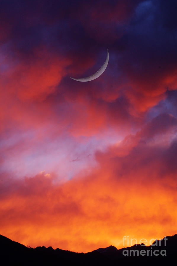 Crescent Moon In Purple Photograph by Joseph J Stevens