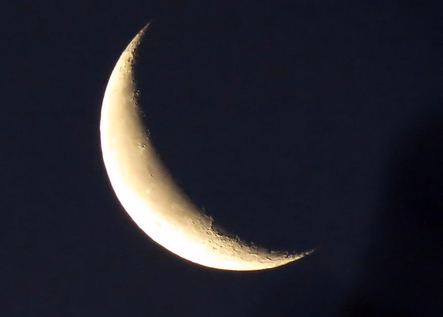 Crescent Moon Photograph by Janice Drew