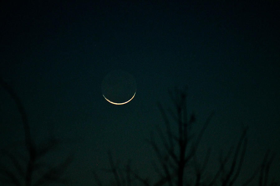 Crescent Moon Photograph by Jessica Brown