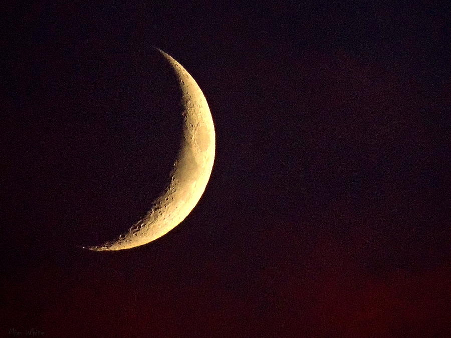 Crescent Moon Photograph by Mim White