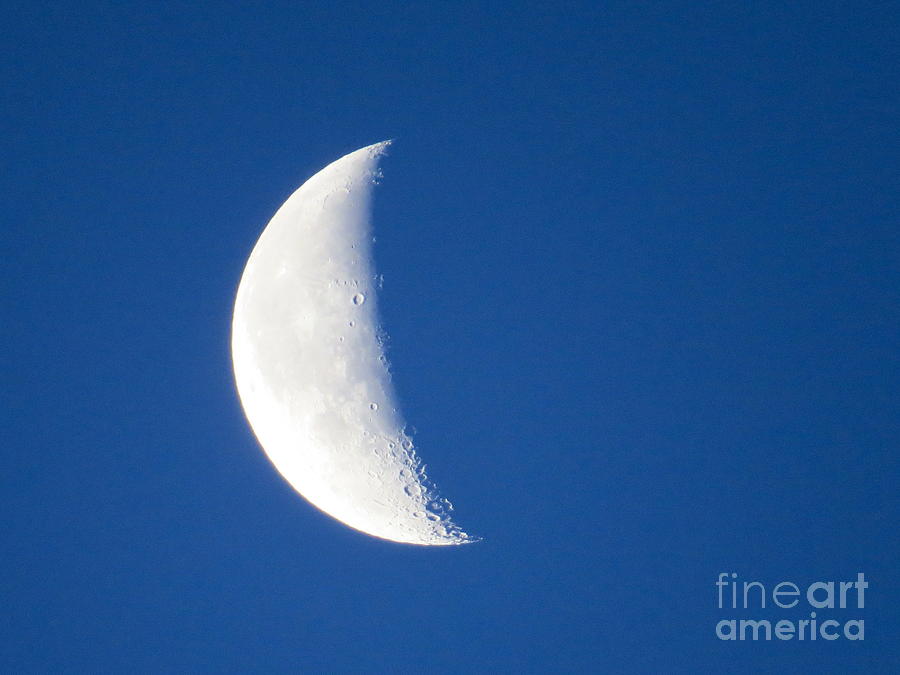 Crescent Moon  Photograph by Nancy Patterson