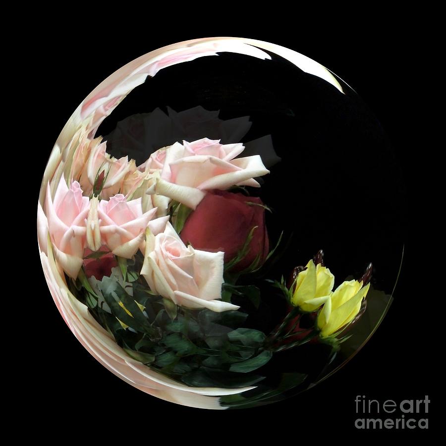 Crescent Moon Of Roses Photograph by Renee Trenholm