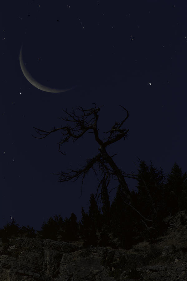 Crescent Moon over Gallatin Canyon Photograph by Mark Harrington