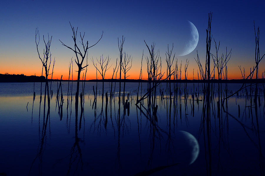 The Crescent Moon Photograph by Raymond Salani III