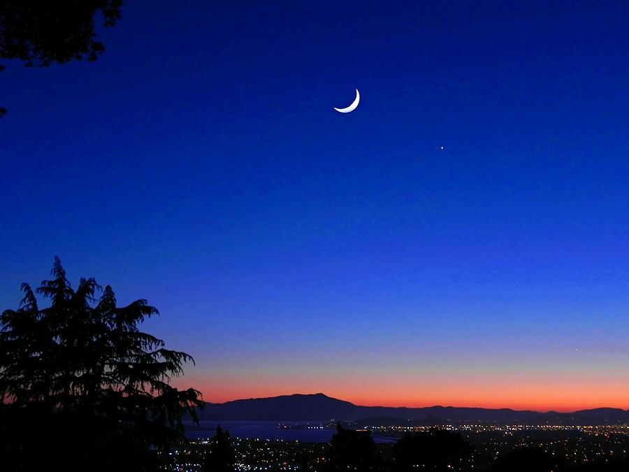 Crescent Moon San Francisco Bay Pyrography by Diane Lynn Hix