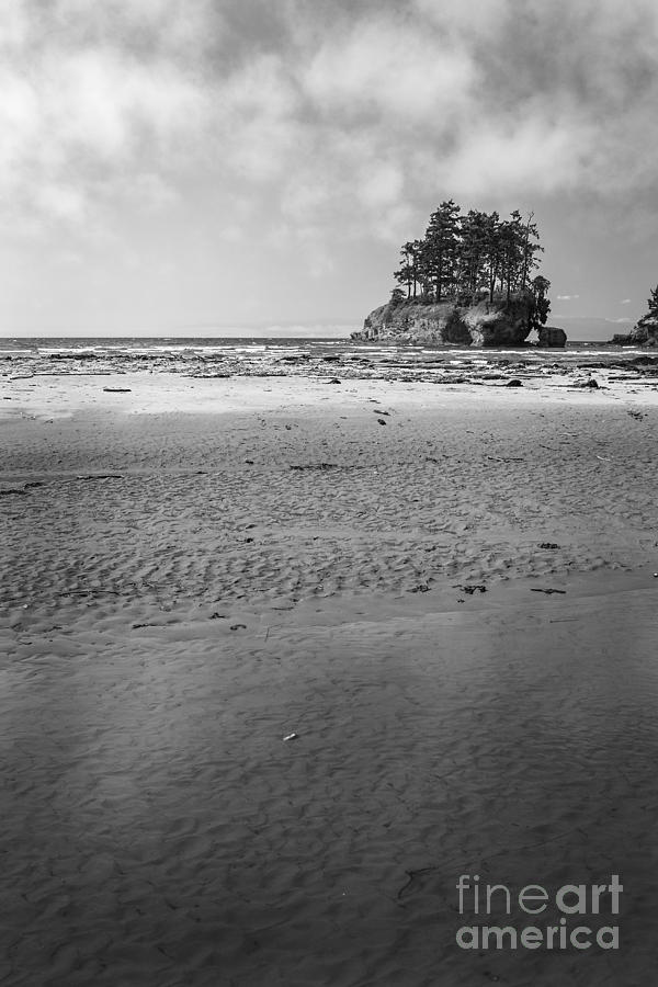 Cresent Bay Island Black and White Photograph by Sonya Lang