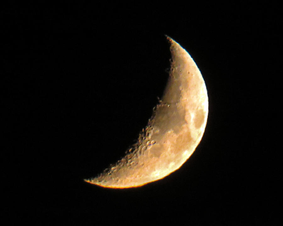 Cresent Moon Photograph by Dawn Key
