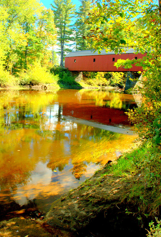 Cresson Bridge and Foliage Photograph by Caroline Stella