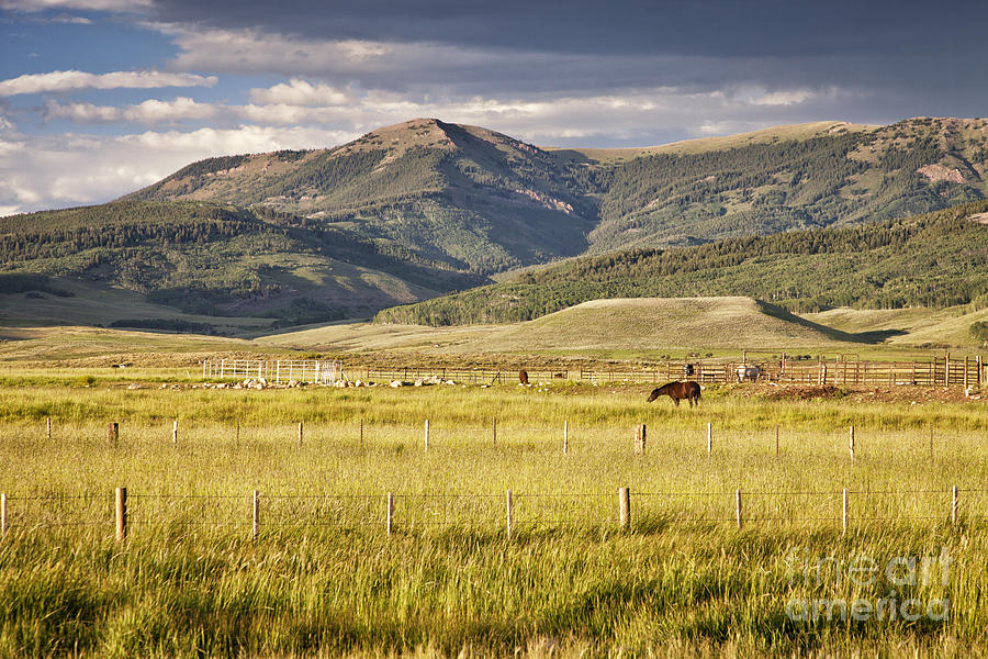 Crested Butte Ranch Photograph by Timothy Hacker
