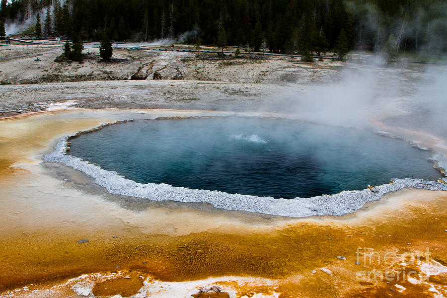 Yellowstone National Park Photograph - Crested Pool by Dan Hartford