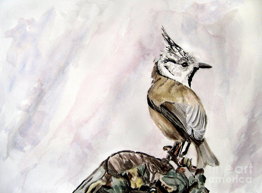 Crested Tit Painting by Ulrike Miesen-Schuermann