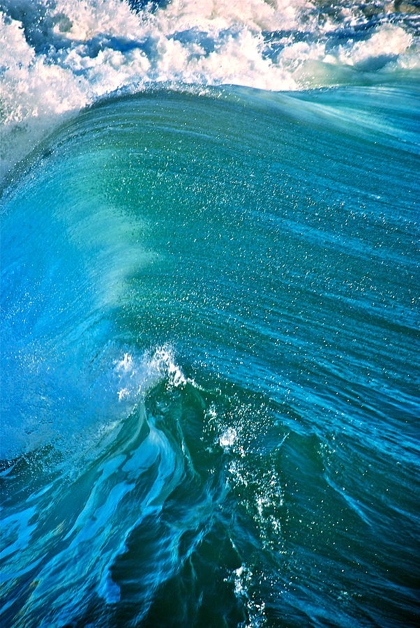 Cresting Wave Photograph by Liz Vernand