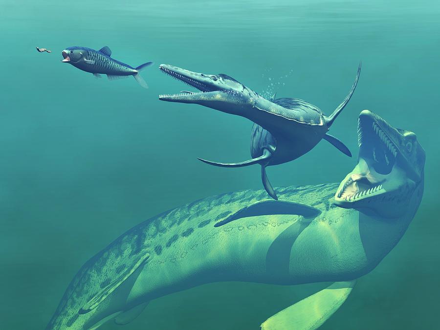 Cretaceous Marine Predators