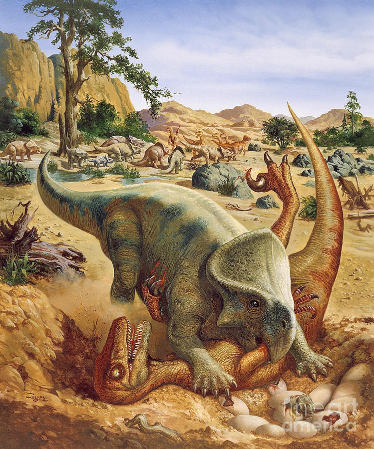 Cretaceous Period Landscape Photograph by Publiphoto