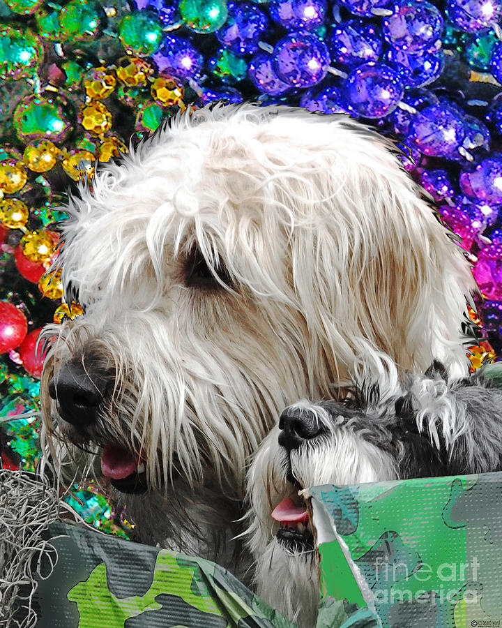 Crewe of Mutts Mardi Gras Parade Baton Rouge Doggies Digital Art by Lizi Beard-Ward
